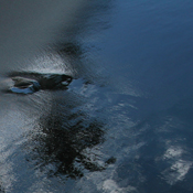 Black Sand Beach